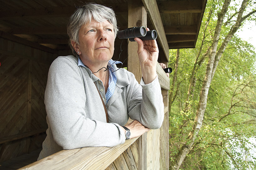 Become a Citizen Scientist