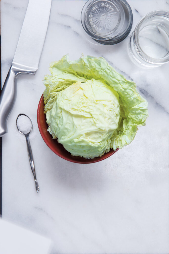 Transformative Food Preservation 