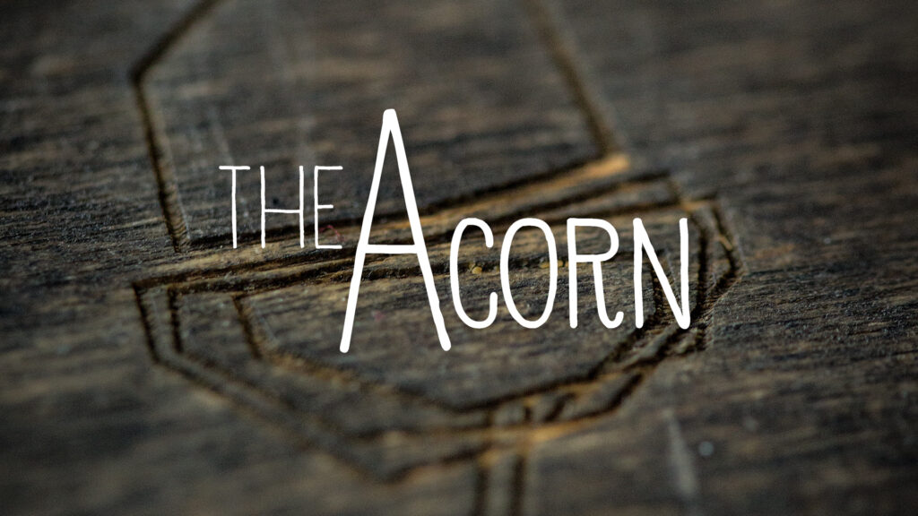 The Acorn – video