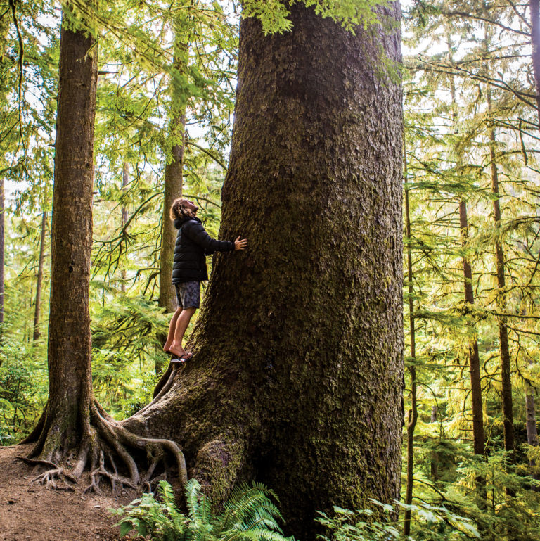 Growing Strong from Boyhood to Retirement