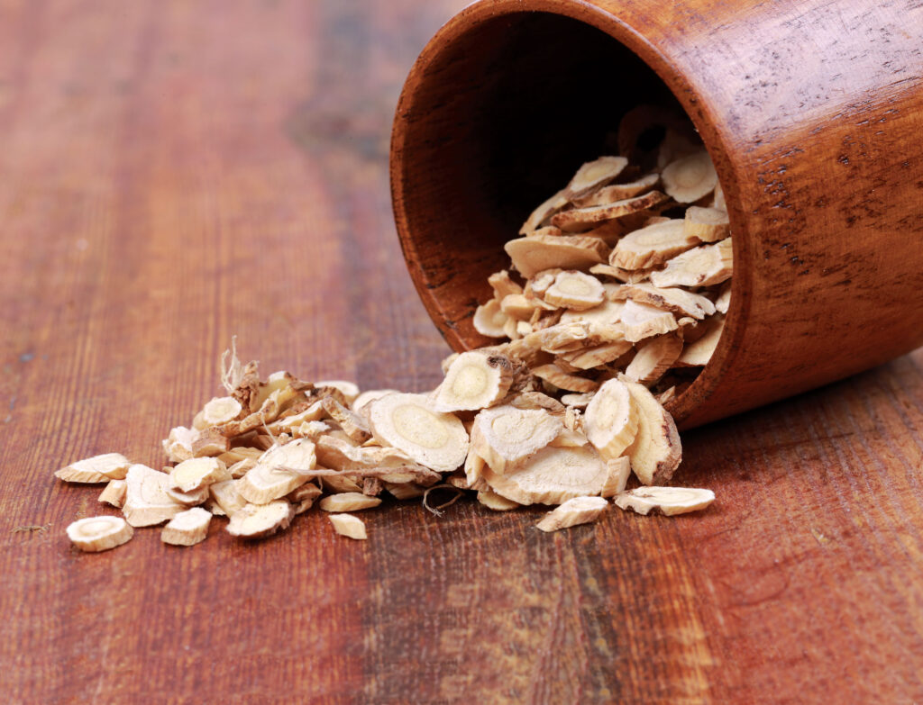 Cancer and the Immune System