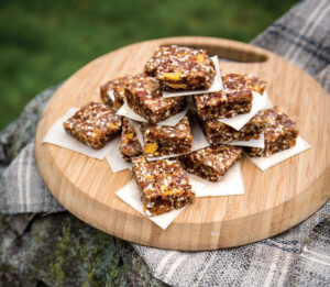 Spiced Date Nut Energy Squares