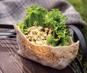Sprouted Lentil and Quinoa Salad with Pocket Bread