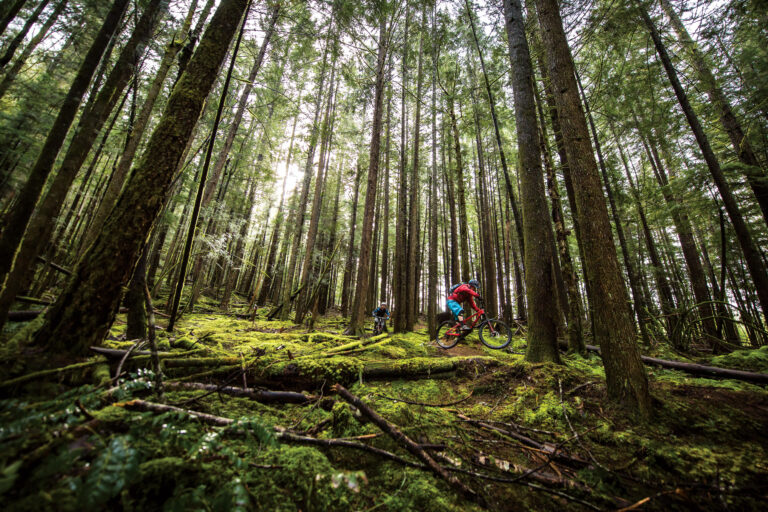 Grab Life By the Handlebars