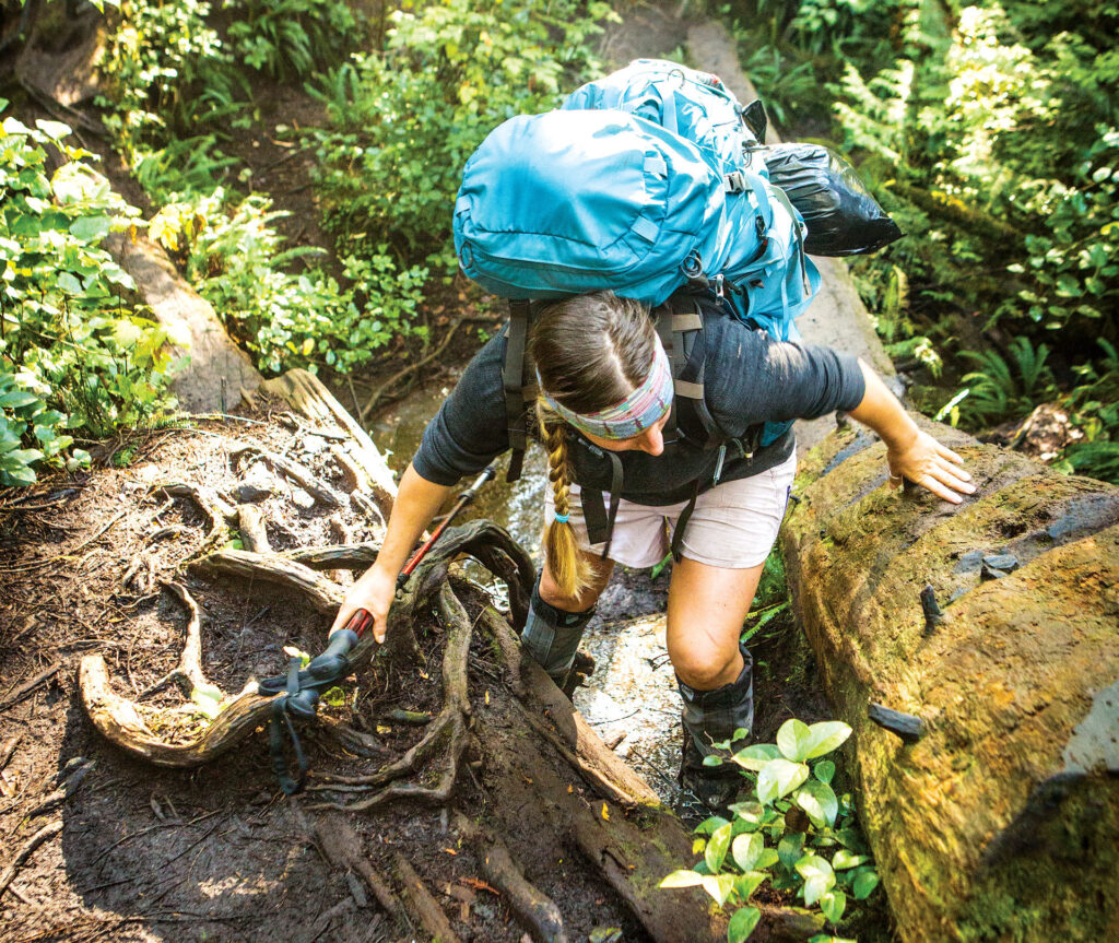 Training For Your Trek