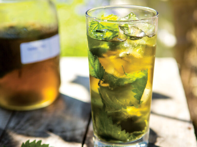 Stinging Nettle Iced Tea