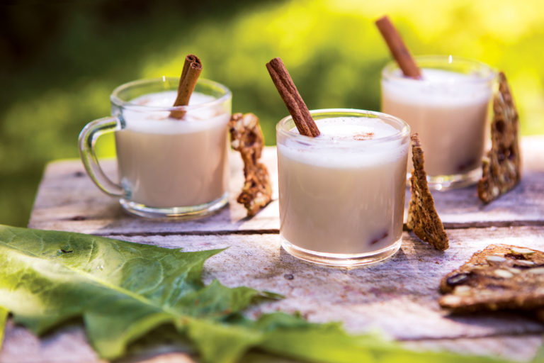 Dandelion Cinnamon-Spiked Iced Coffee