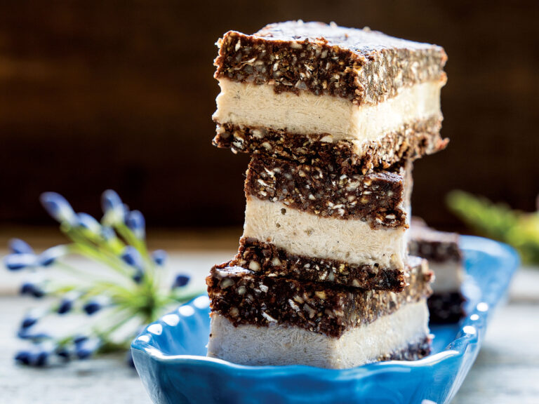 Frosty Chocolate Almond Ice Cream Bars