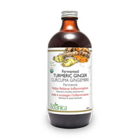 Botanica Fermented Turmeric Ginger