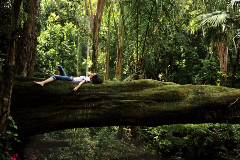 Nature’s Healing Powers