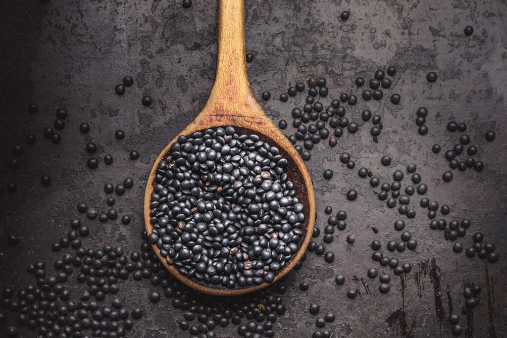 Plant Protein Primer