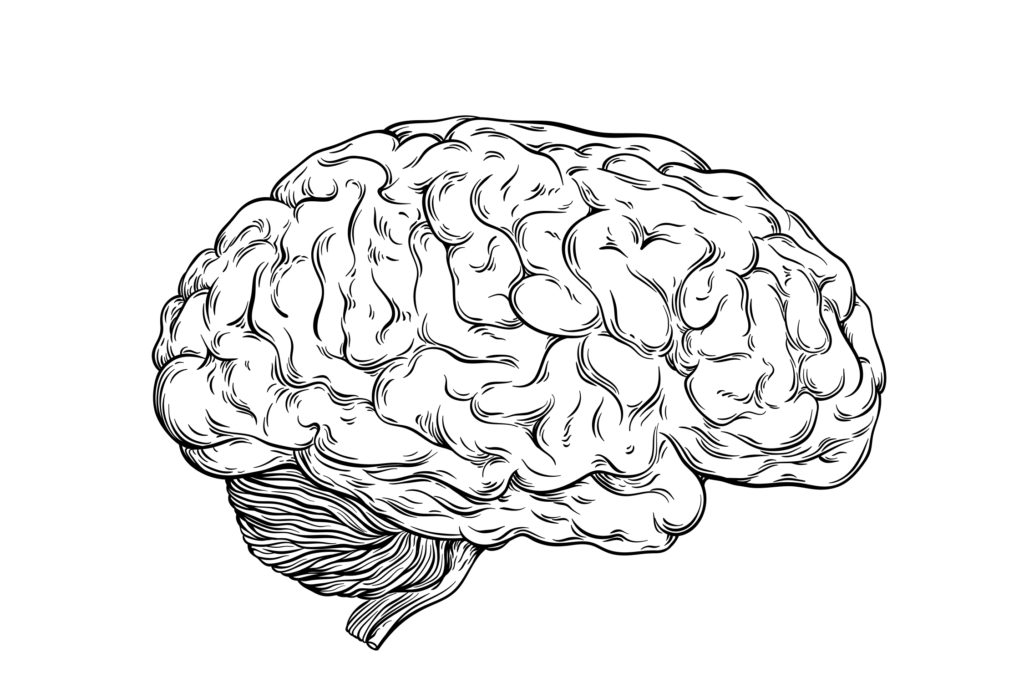 Can We Rewire Our Brains?