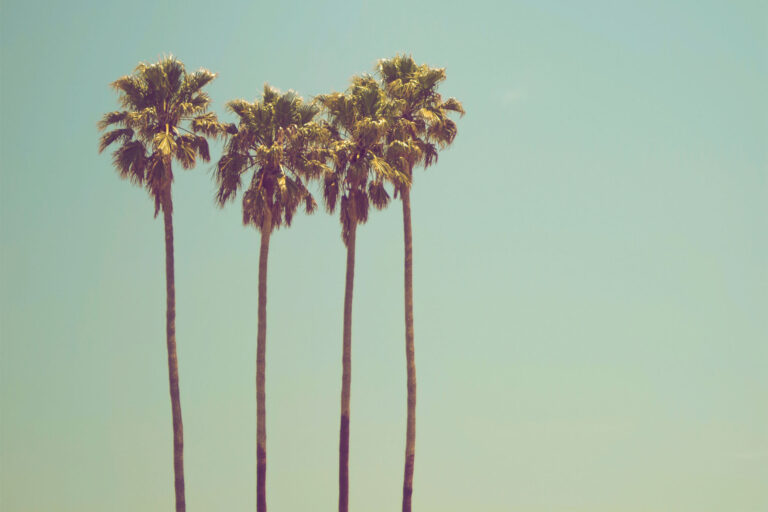 Get the best skin, hair & nails for summer …