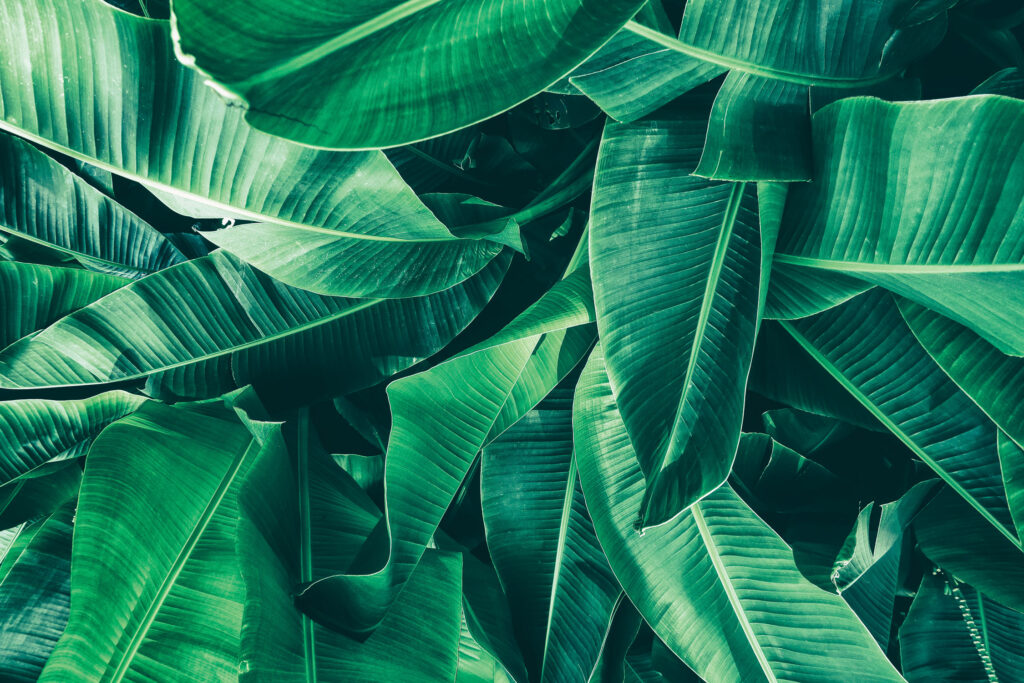 Supplements that make a major difference in women’s lives