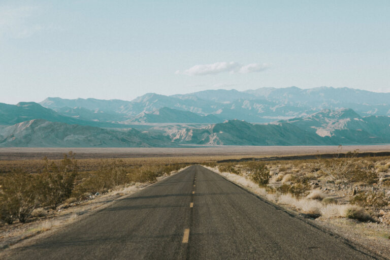 The Ultimate Vegan Road Trip