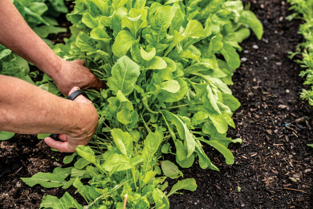 Catch It While You Can