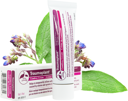 Win 1 of 4 Terry Naturally® CANADA Traumaplant® Comfrey Cream Products!