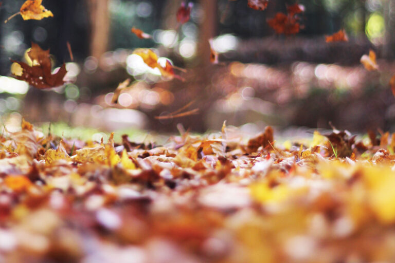 Falling Into a New Routine