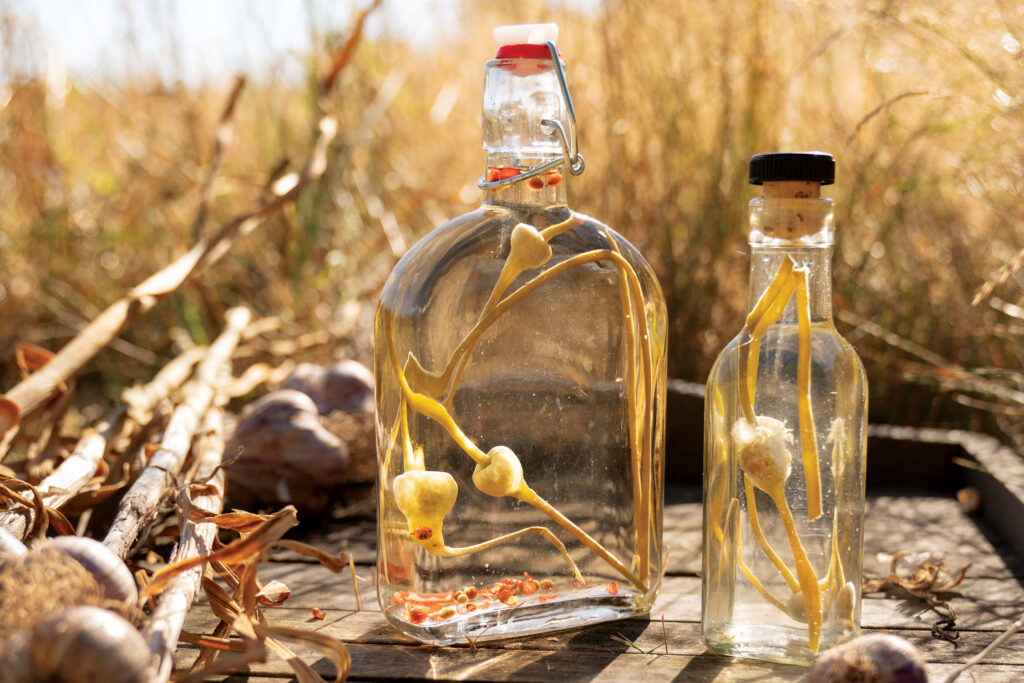 Aromatic Garlic Scape Vinegar