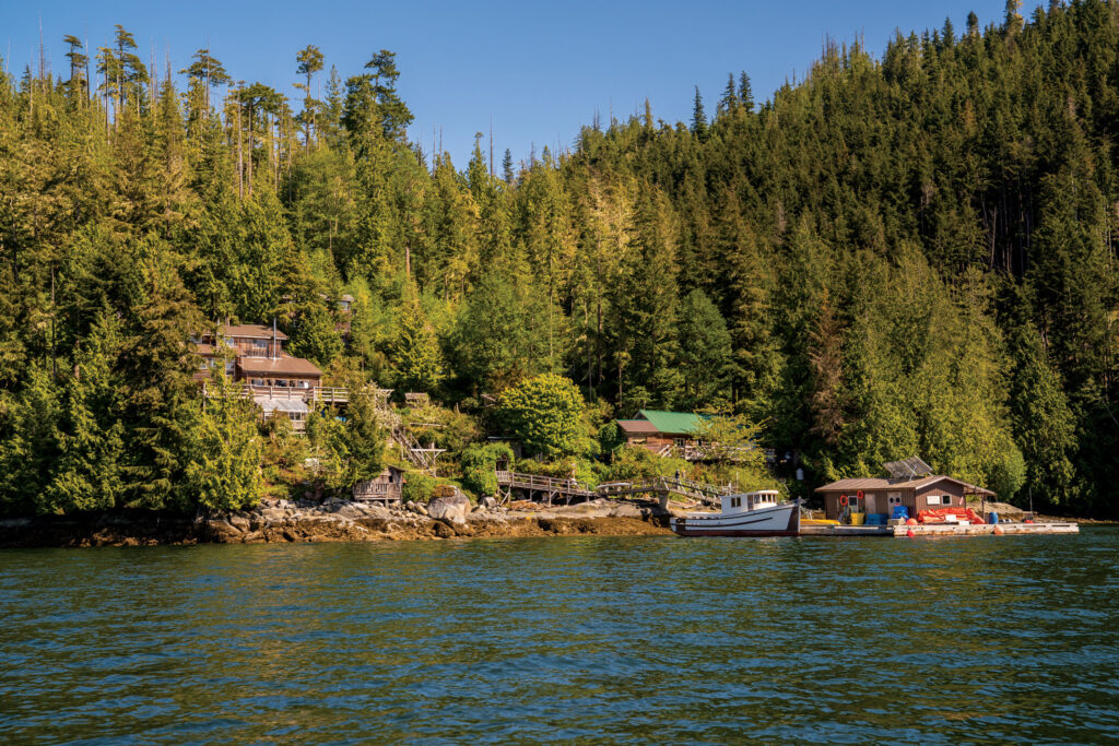 Fighting For Wild Salmon