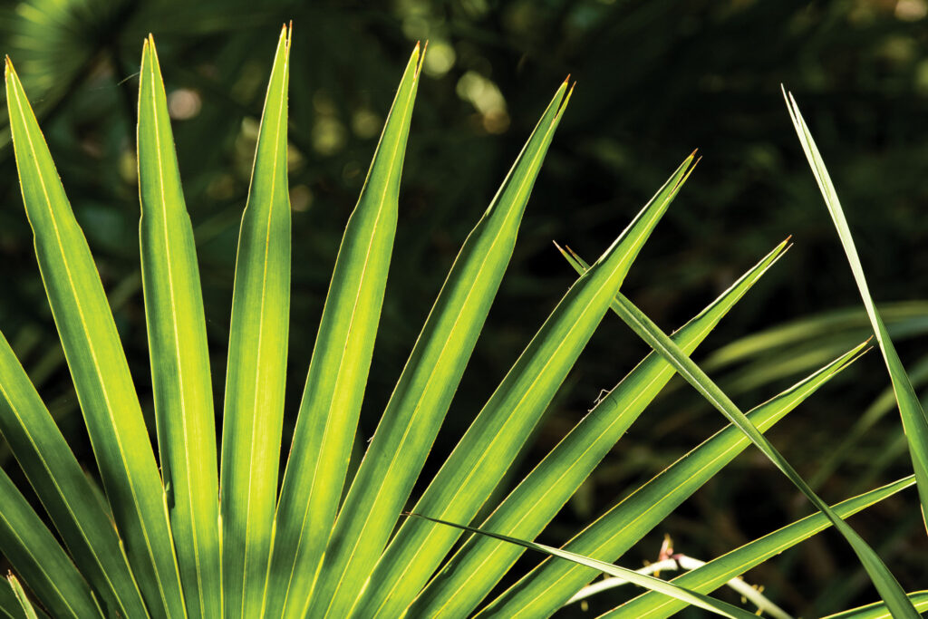 Is His Enlarged Prostate Killing the Mood?