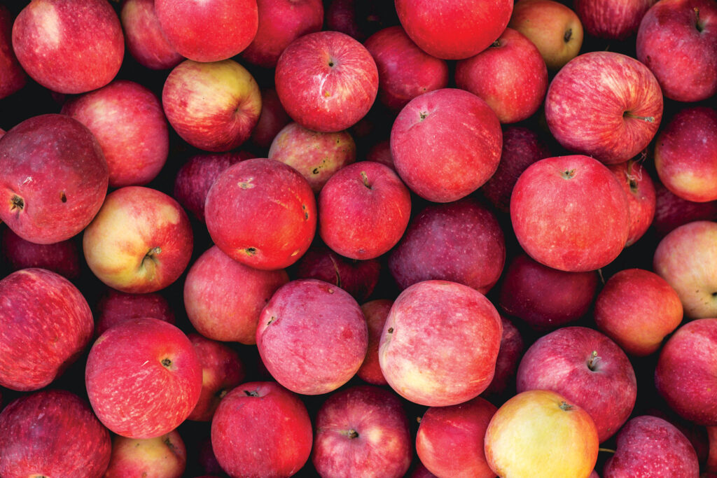 10 Common Traps of Healthy Eating