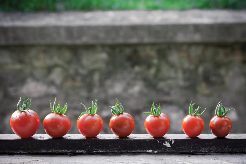 Vegan Fitness for Life