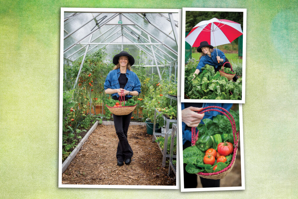 The power of one meal