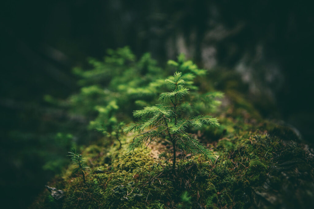 Clothing For People and the Planet