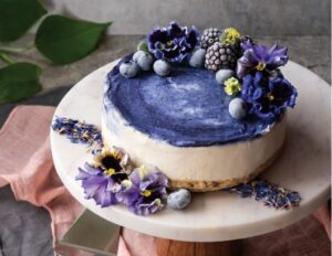 Blue Pea Swirl Cheesecake
