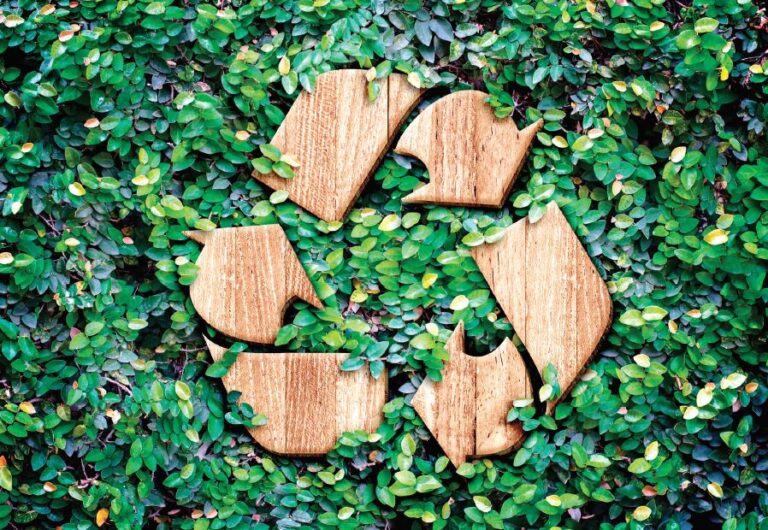 This Is How You Should Actually Be Recycling