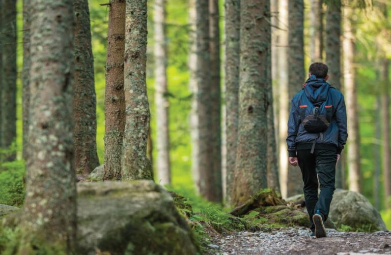 What Neuroplasticity Means for Aging