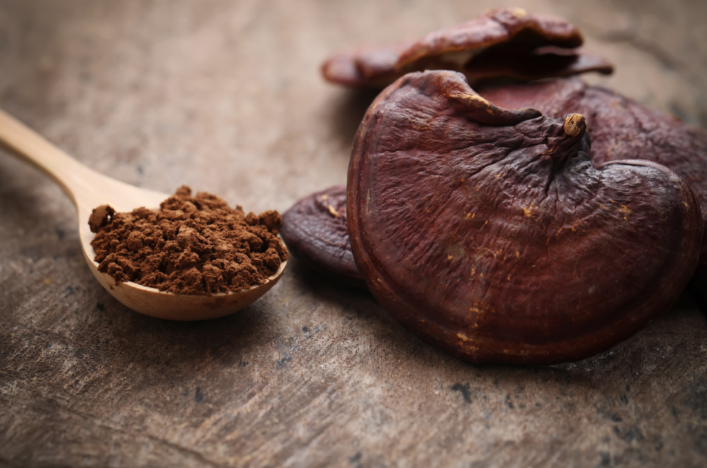 The Healing Power of Chaga and Reishi