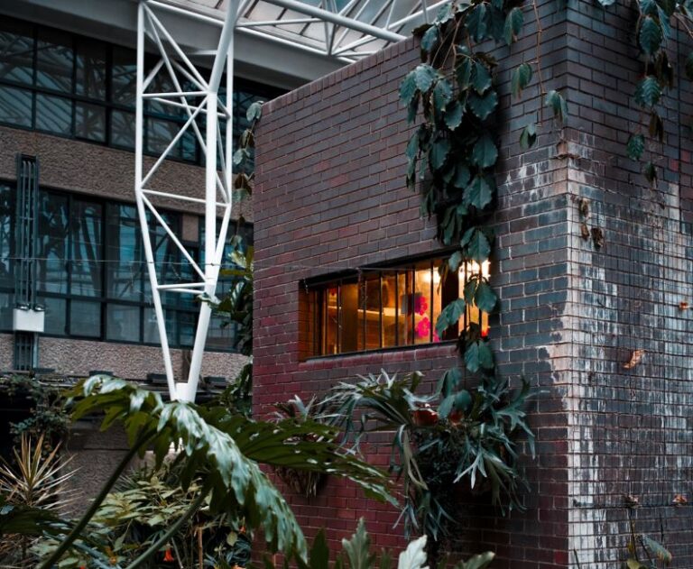 Did You Know? Rewilding Urban Spaces Renders Us Happy and Healthy.