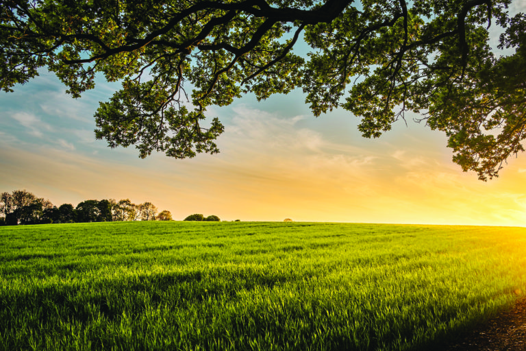 The Gift I Never Expected