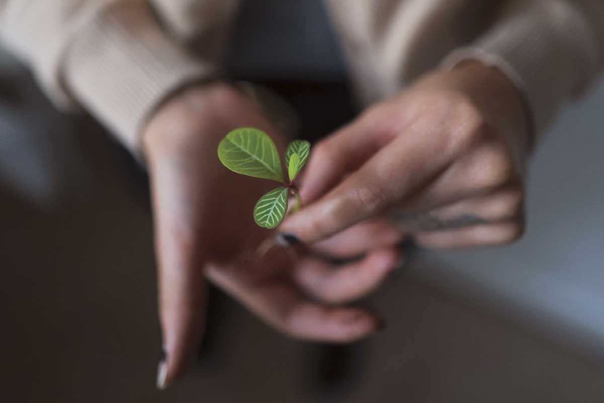 One Intentional Step at a Time