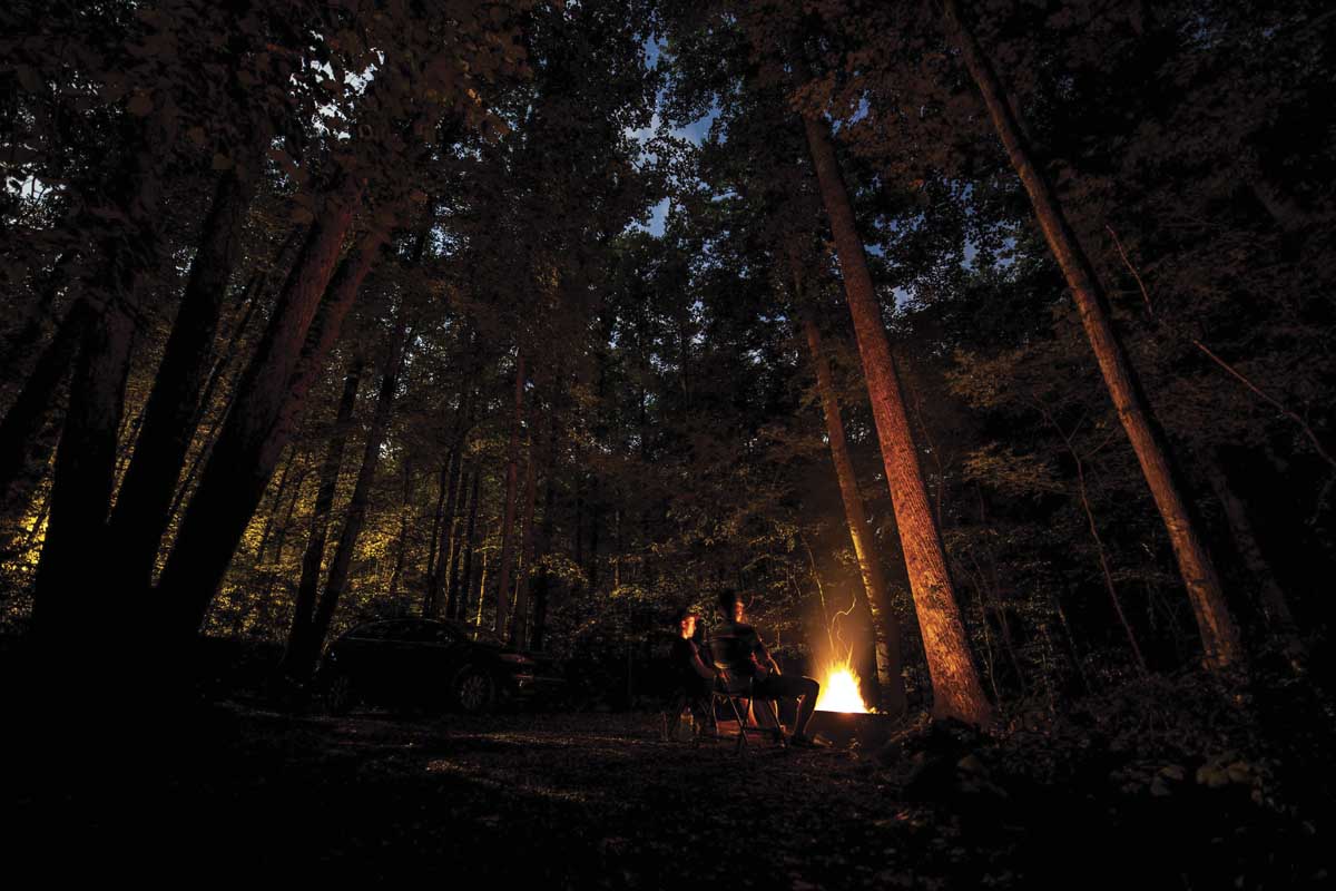 How to Reconnect with Nature Through Seasonal Living