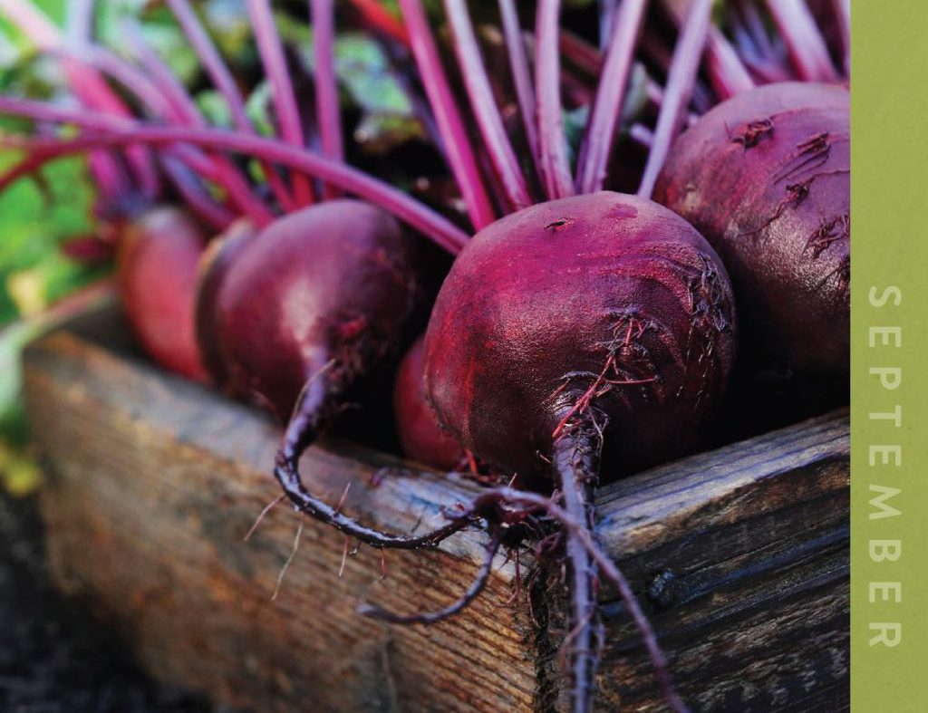 alive’s September 2021 Challenge: Shop Local