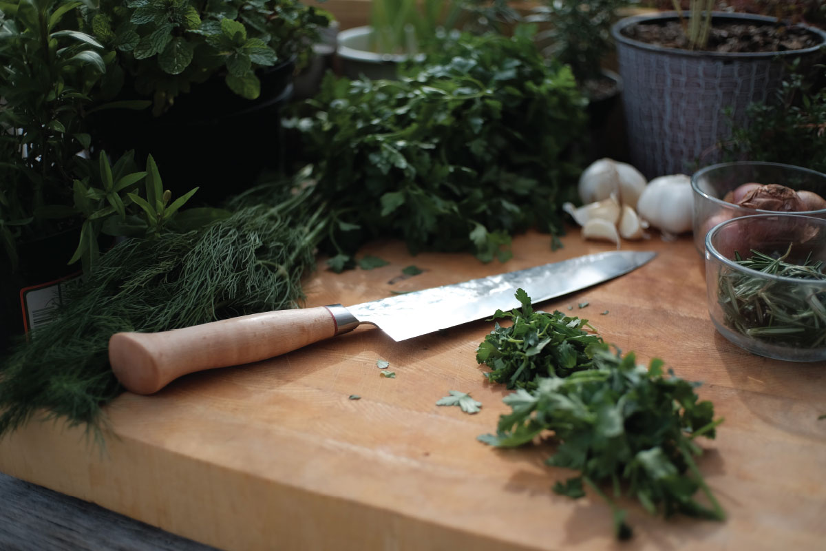 Why Now is the Time to Eat More Plants!