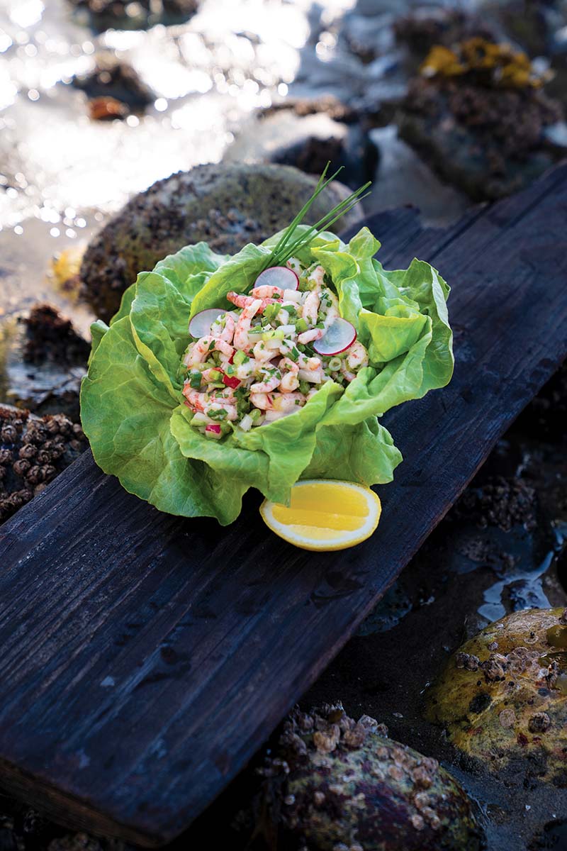 Open-Faced Shrimp Sandwich with Celery, Radish, and Sunflower Shoots
