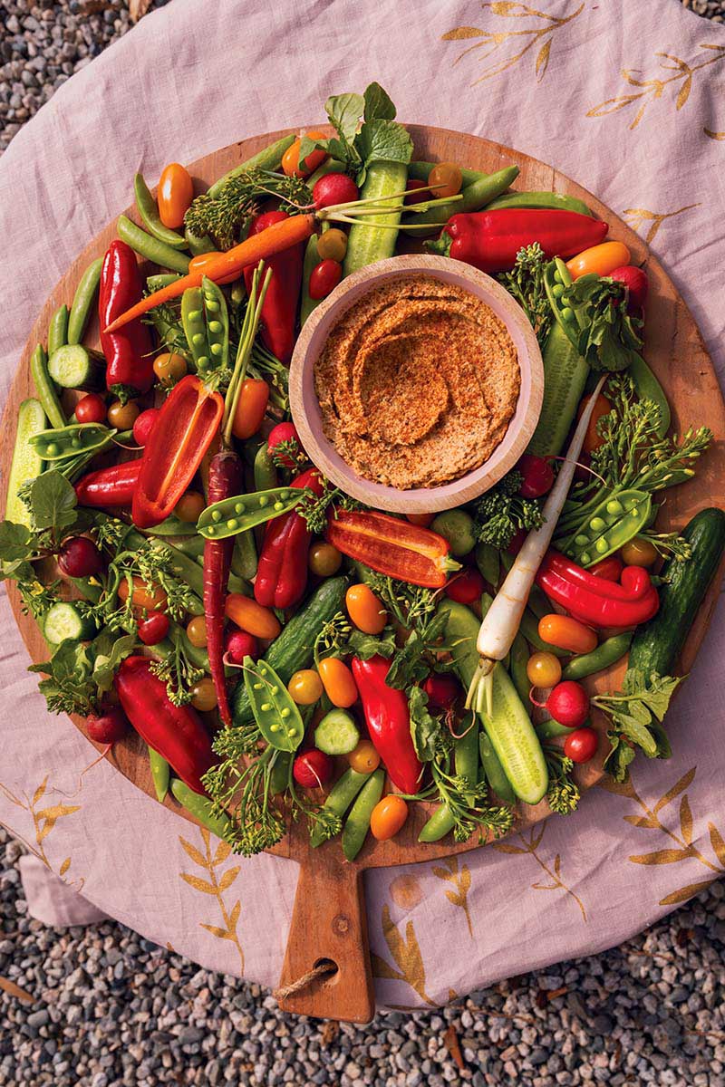 Spiced Cauliflower Dip with Rainbow Crudités