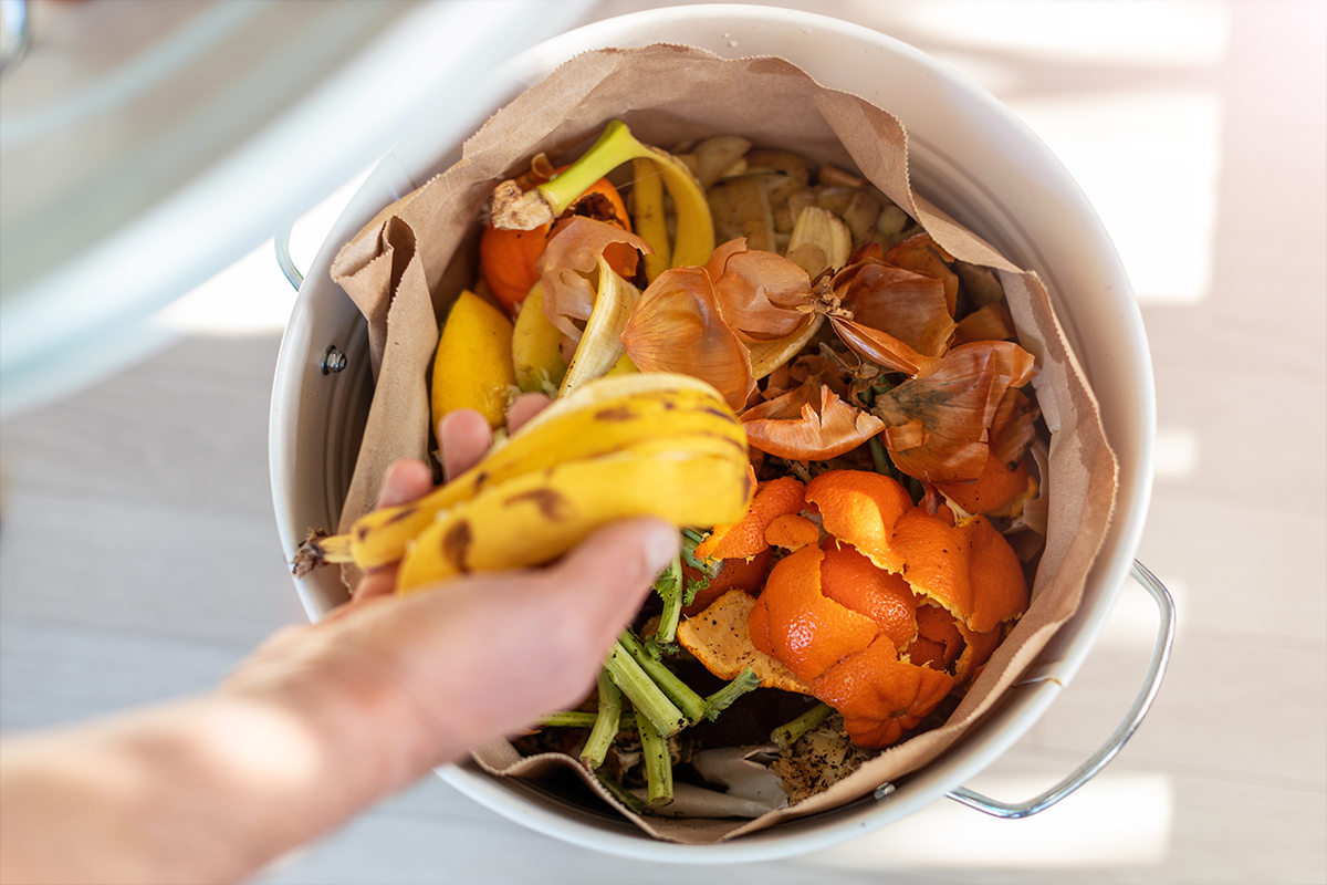 Food Waste and Packaging versus Sustainability