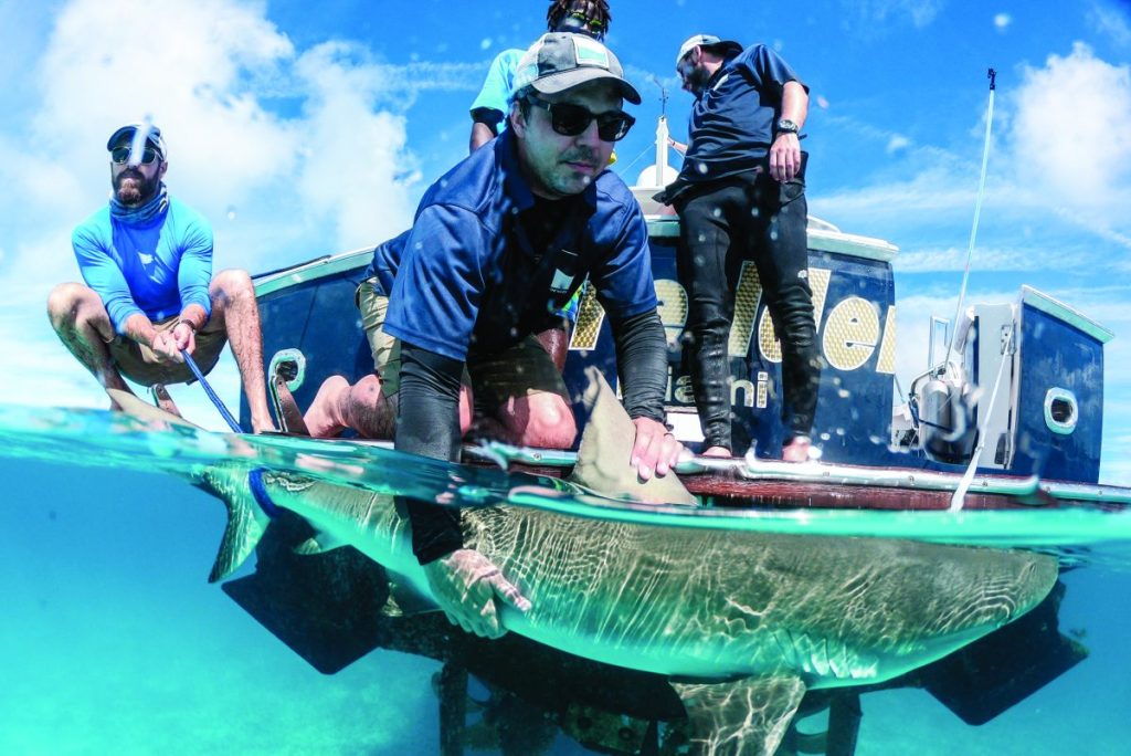 Innovation for Good: Beneath the Waves and AKUA