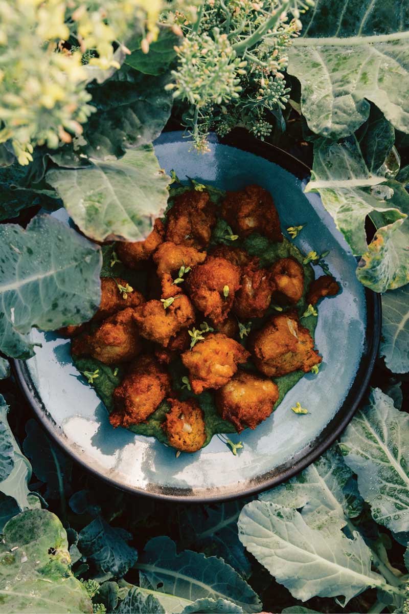 Cauliflower Chickpea Fritters
