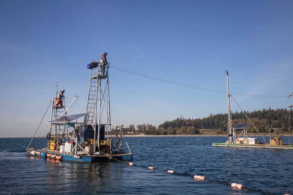 Currents in Aquaculture