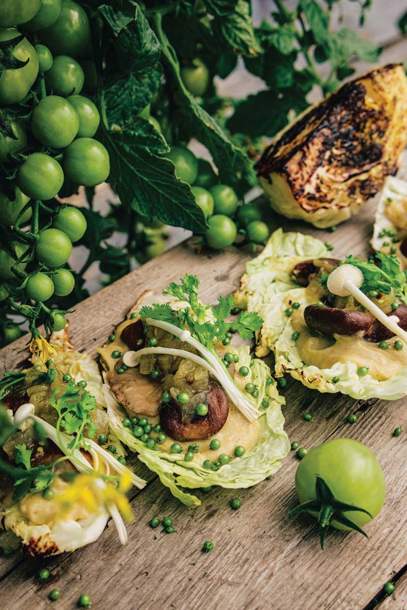 Shiitake Cabbage Tacos
