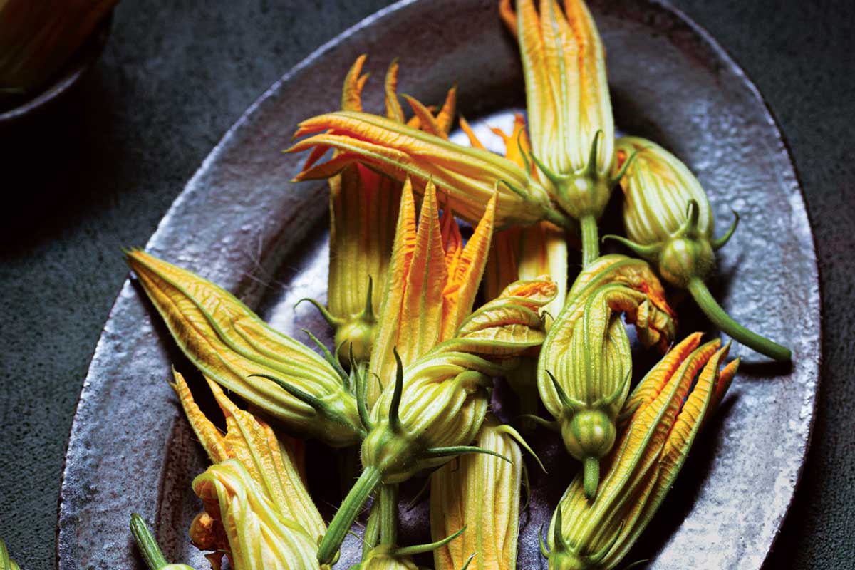 The Links That Feed Us