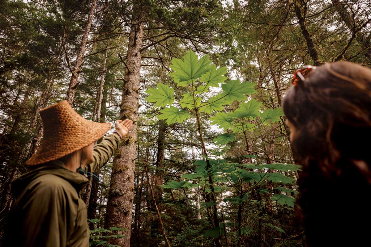 Taking Care of the Body’s Supercomputer