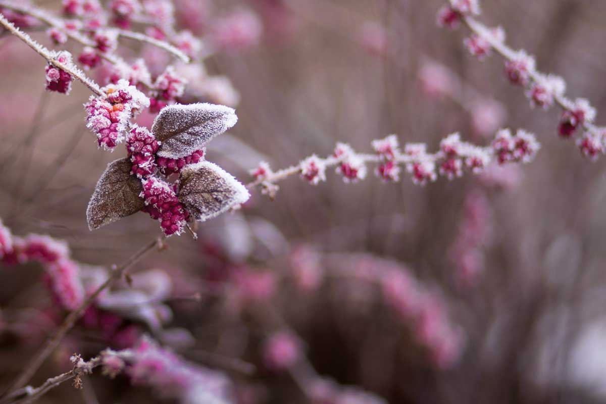 Beating Winter Blues