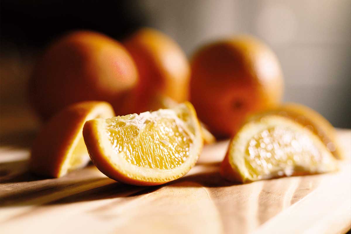 Brain's role in immune health two systems in communication